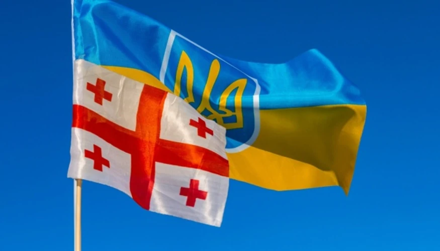 Хто ухвалив та виконує рішення Грузії щодо допомоги українцям