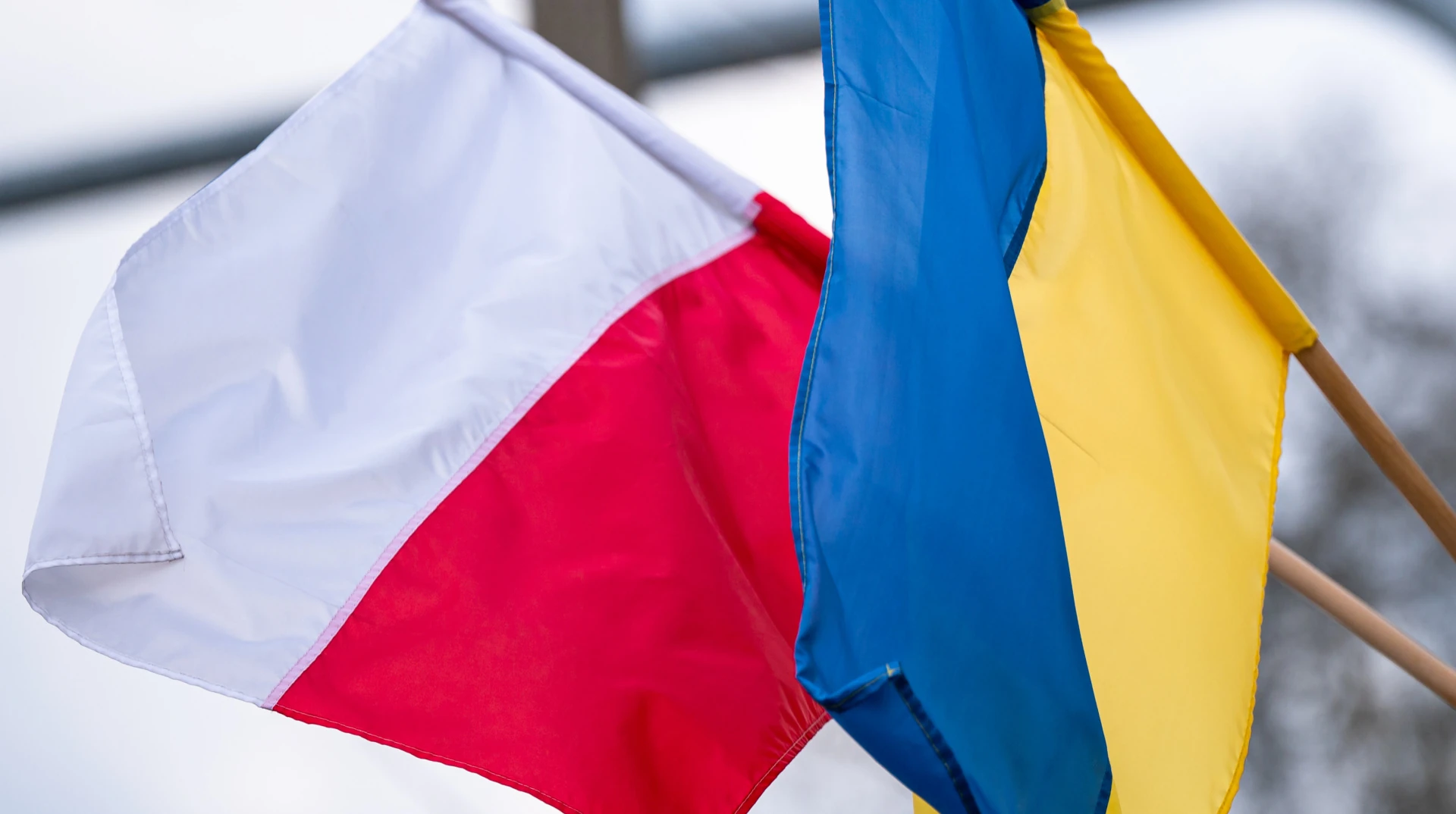 У Львові тривають дослідження на місці поховання польських вояків: що відомо