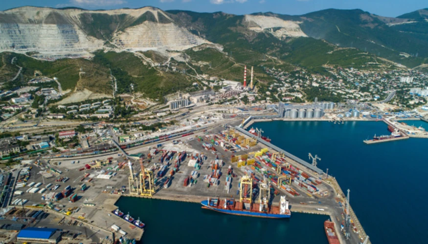MSC призупинила нові бронювання до Новоросійська: рішення ухвалене після удару по ULSAN III